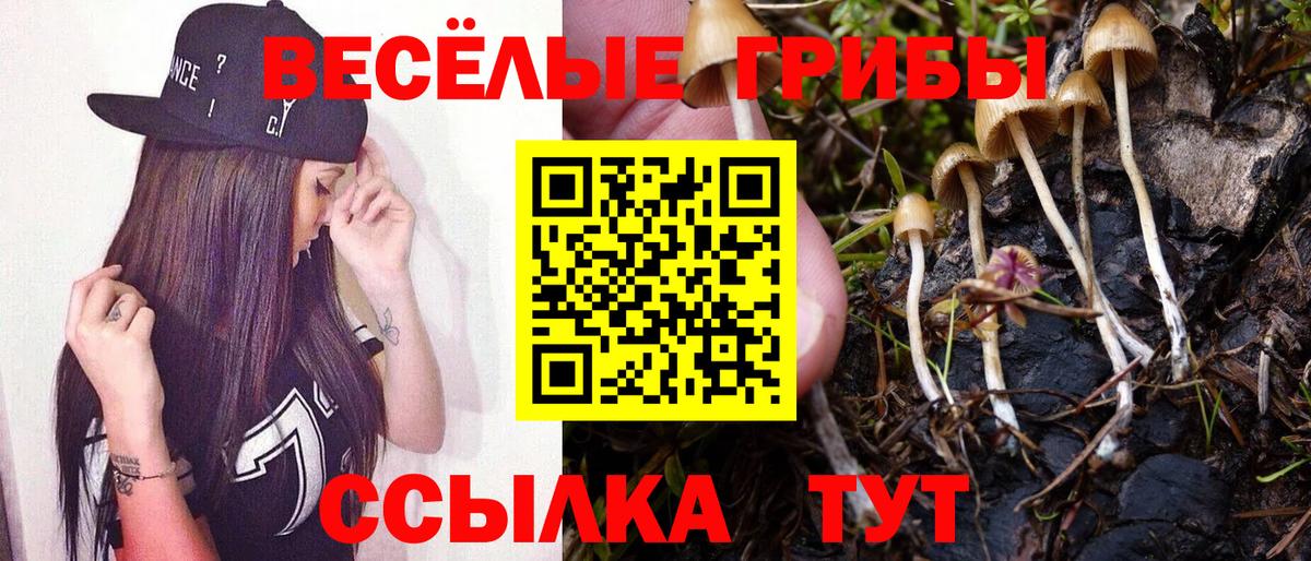 Галлюциногенные грибы мухоморы Ипатово