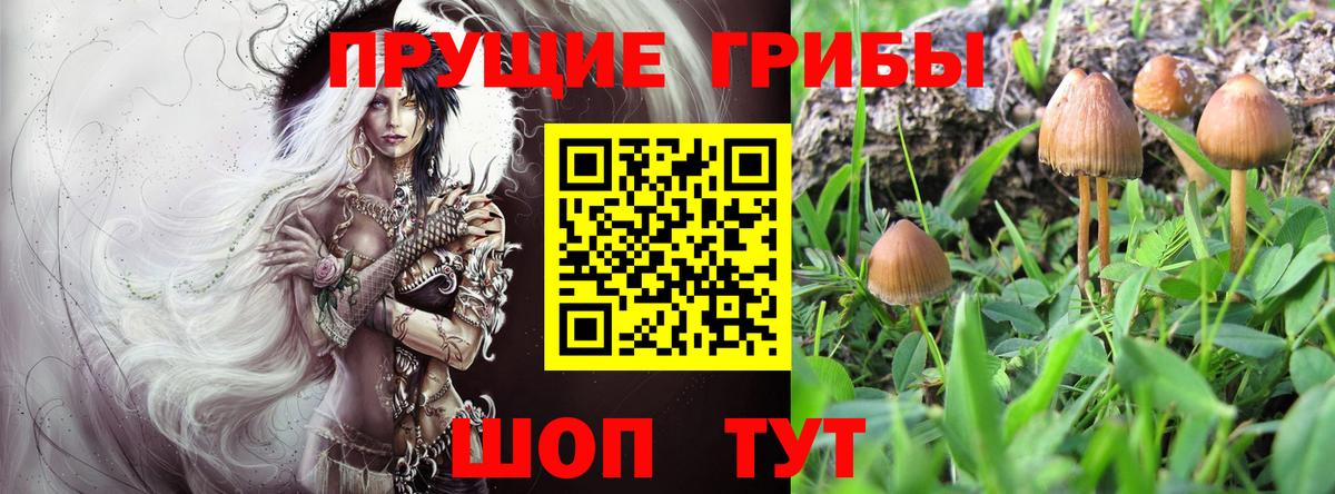Ипатово  Псилоцибиновые грибы GOLDEN TEACHER  Вход с VPN  Псилоцибиновые грибы MAGIC MUSHROOMS 